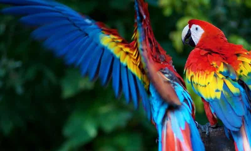 consectetur-a-cumque-ullam-beatae-quasi-unde-necessitatibus